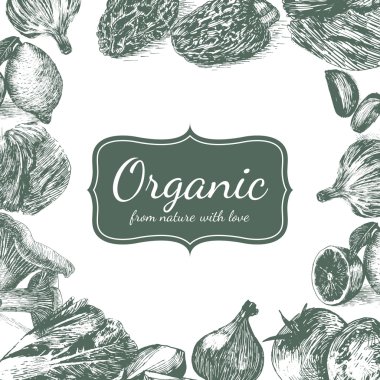 Organik tarım ürünleri vektör vintage tek renkli çizim