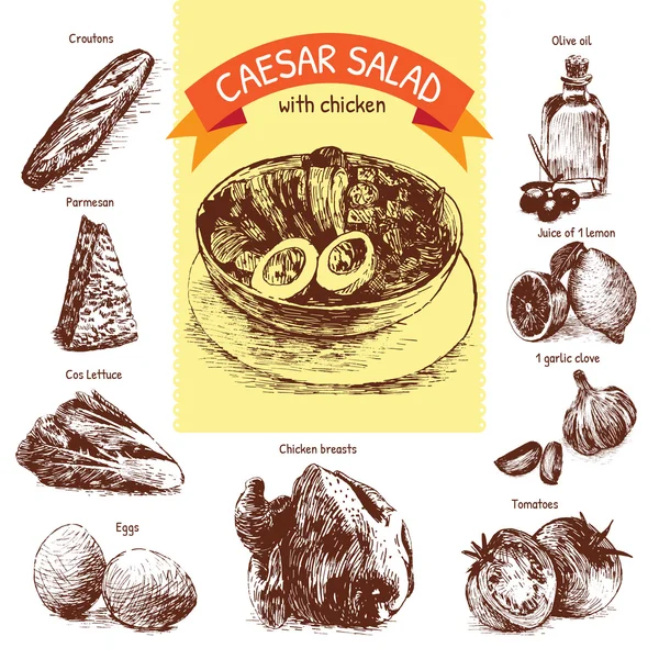 Векторная красочная иллюстрация ингредиентов салата Цезарь — стоковый вектор
