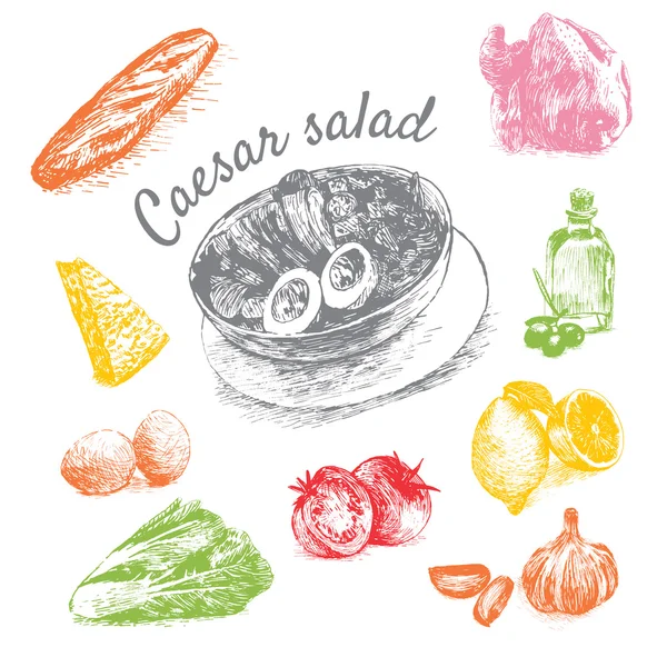 Vetor ilustração colorida de ingredientes de salada Caesar —  Vetores de Stock