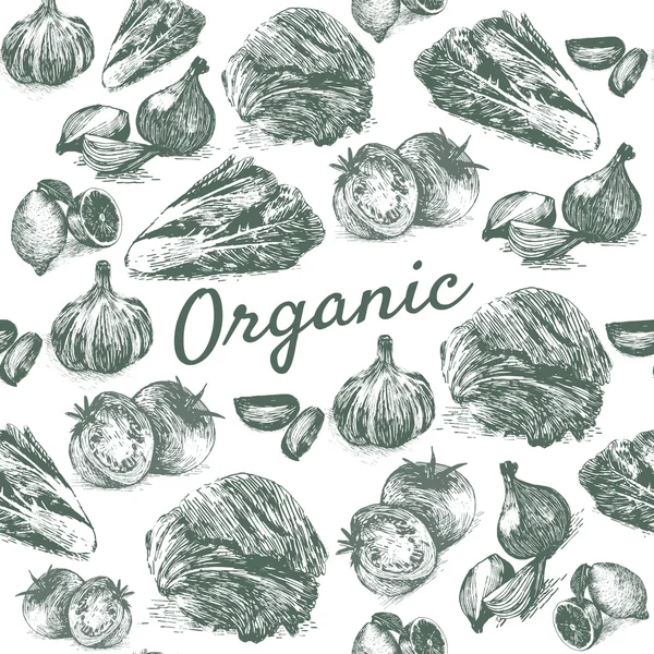 Vector vintage monochrome illustration of organic farm products in seamless background — Stock Vector