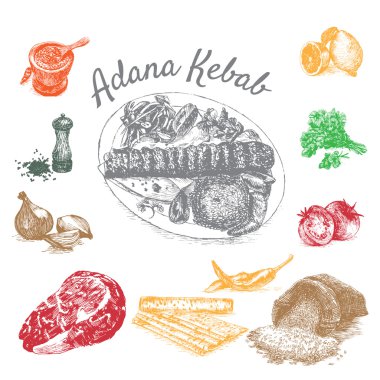 Adana kebabı malzemeler vektör çizim
