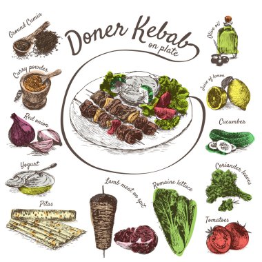Vektör çizim döner kebabı malzemeleri