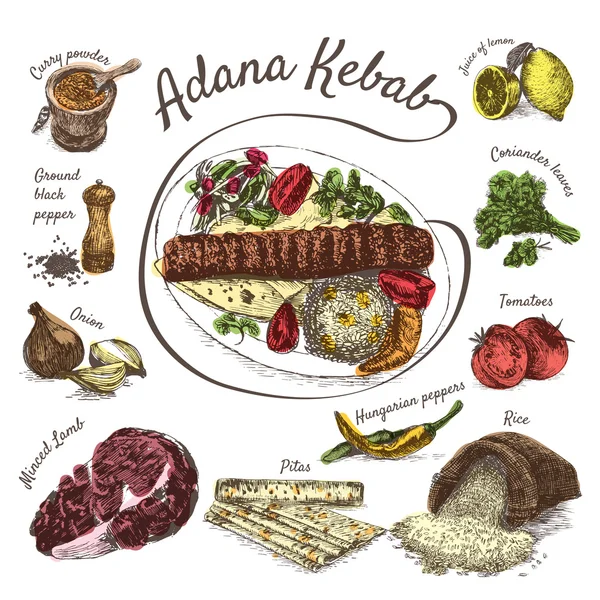 Illustrazione vettoriale degli ingredienti del kebab adana — Vettoriale Stock