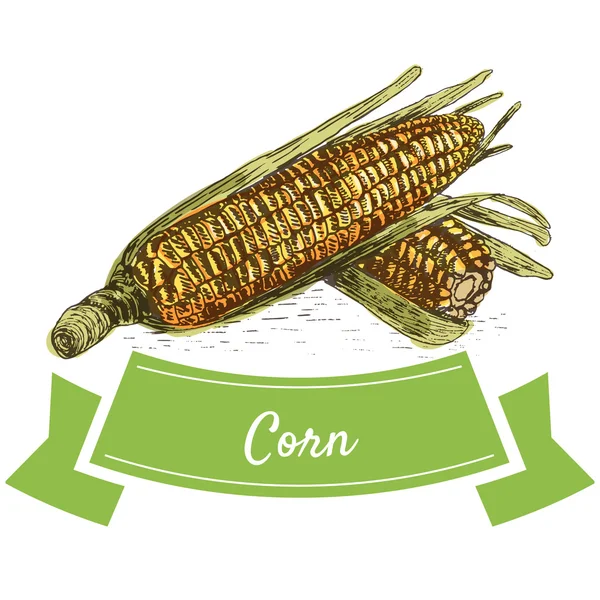Vector ilustración colorido conjunto con maíz — Archivo Imágenes Vectoriales