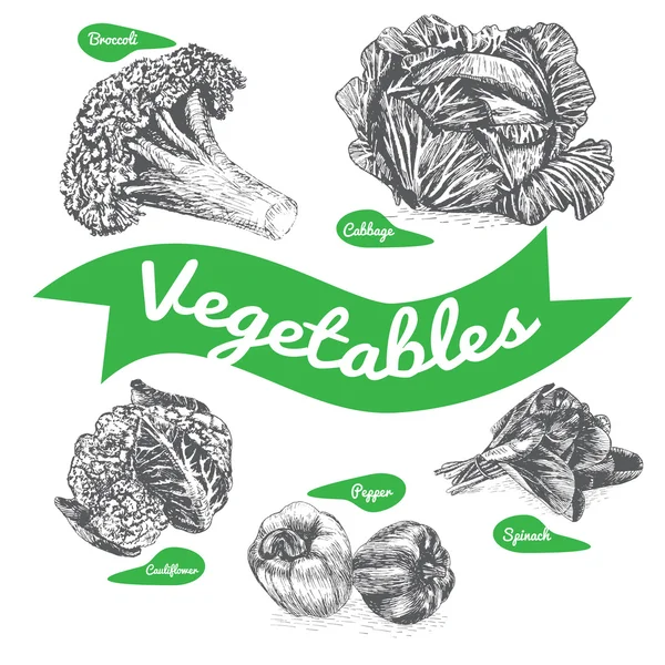 Vektorová ukázka černobílého nastavení se zeleninou — Stockový vektor