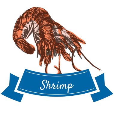 Vektör illüstrasyon karides ile renkli set