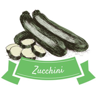 Vektör illüstrasyon kabak ile renkli set