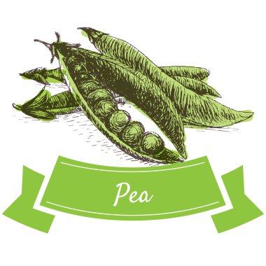 Vektör illüstrasyon bezelye ile renkli set