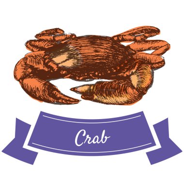 Vektör illüstrasyon yengeç ile renkli set