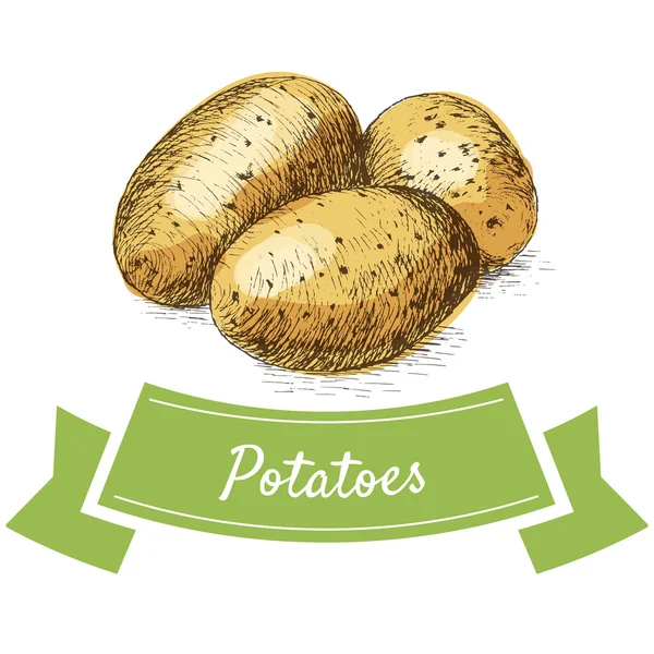 Illustrazione vettoriale colorato set con patate — Vettoriale Stock