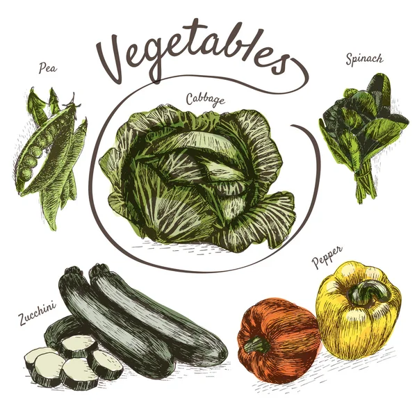 Vektorová ilustrace Barevná sada se zeleninou — Stockový vektor