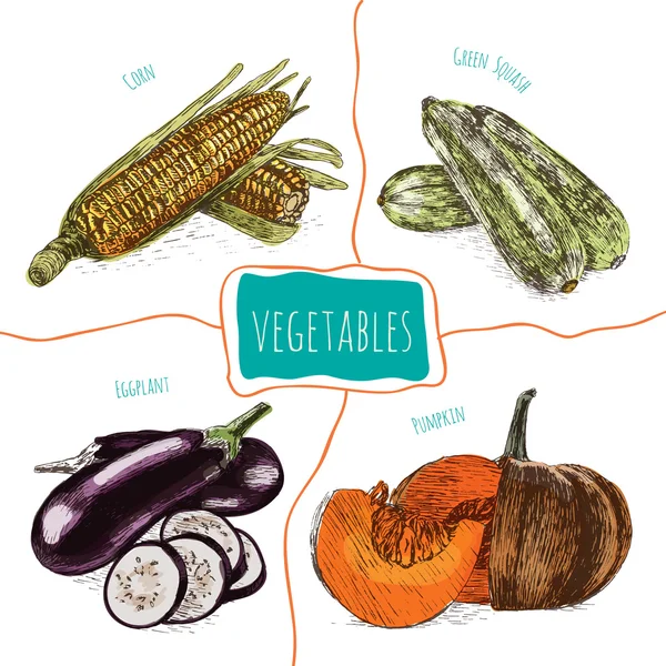 ベクトルイラストは野菜とカラフルなセット — ストックベクタ