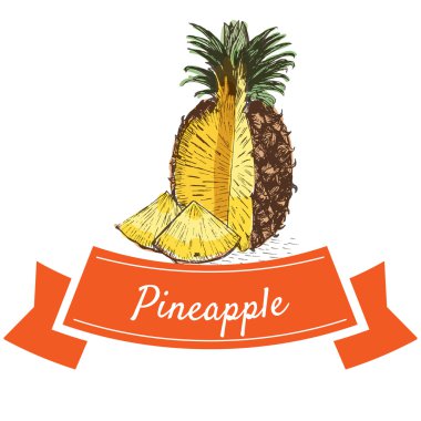 Vektör illüstrasyon ananas ile renkli set