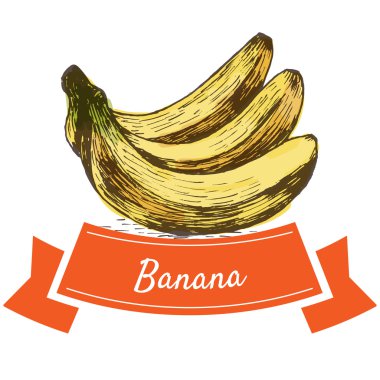 Vektör illüstrasyon muz ile renkli set