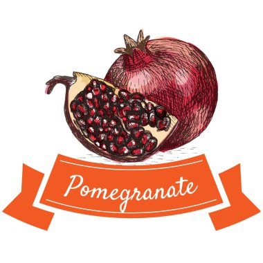 Vektör illüstrasyon nar ile renkli set