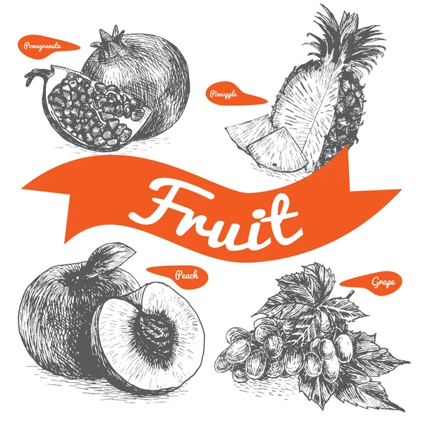 Illustration vectorielle noir et blanc serti de fruits — Image vectorielle