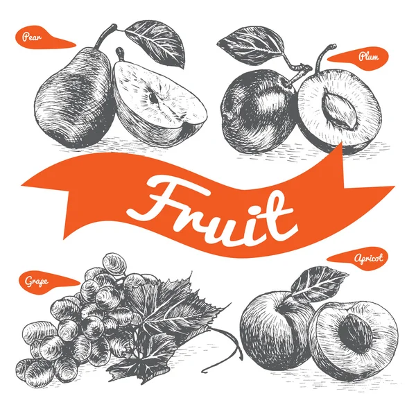 Ilustración vectorial en blanco y negro con frutas — Vector de stock