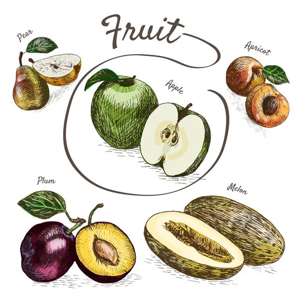 Vektorová ilustrace barevná množina s ovocem a bobulovinami — Stockový vektor