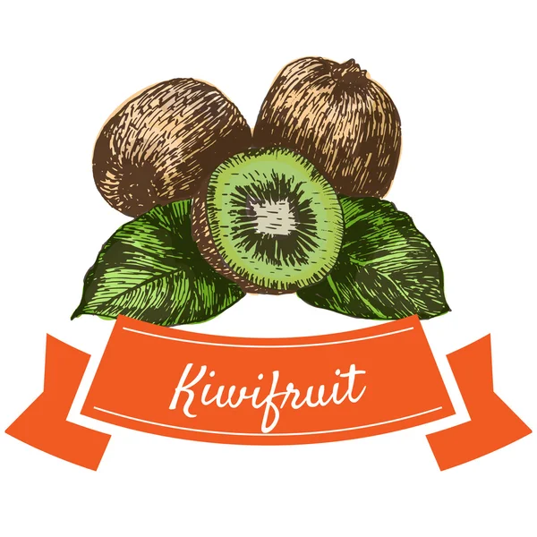 Vektor Illustration buntes Set mit Kiwifrüchten — Stockvektor