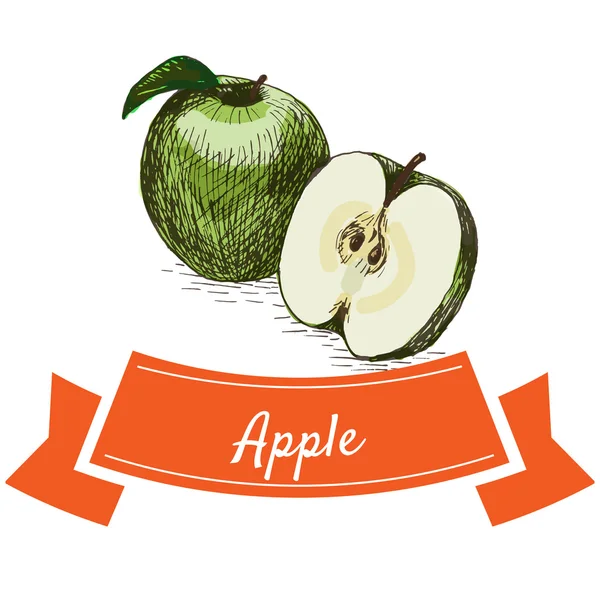 Conjunto colorido de ilustración vectorial con manzana verde — Vector de stock