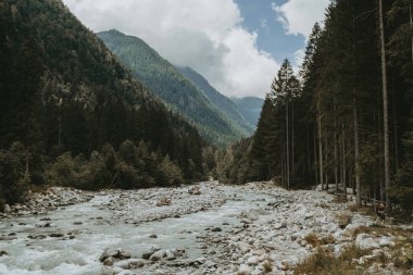 Berrak bir nehri takip eden dolambaçlı bir dağ yolu. Yoğun dağlık ağaçlar ve engebeli tepelerle çevrili..