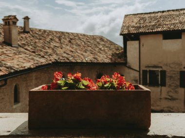 İtalya 'nın Trento kentindeki geleneksel tarihi mimari, asırlık binalar ve Alp kasabası cazibesiyle sergileniyor.