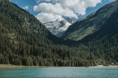 Avusturya Alpleri 'ndeki Finkau' dan bakıldığında Alp ormanlarının üzerinde yükselen engebeli dağ zirveleri Zillertal bölgesinin doğal güzelliğini gözler önüne seriyor..
