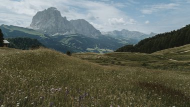 Seceda Hiking Trail, İtalya 'dan Panoramik Dolomiti Tepeleri