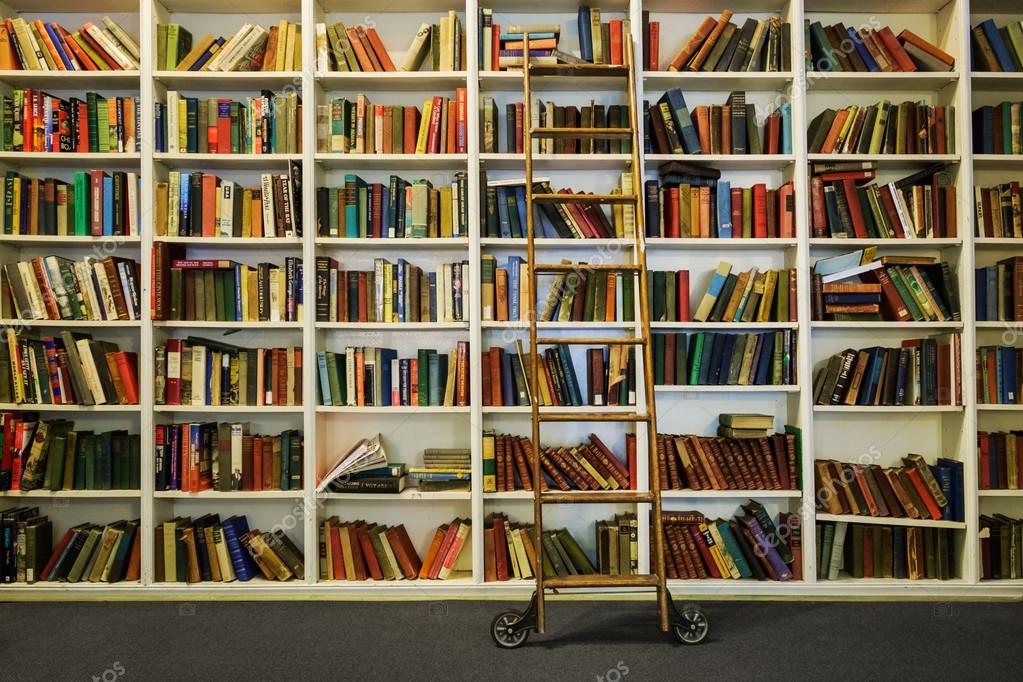 White Bookshelf With Books And Rolling Ladder Stock Editorial