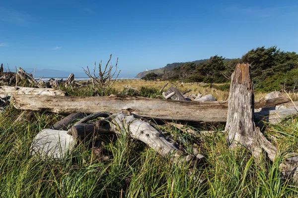 Proiettore a nord — Foto Stock