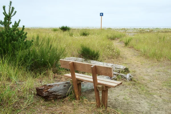 Panchina seduta sul sentiero della spiaggia — Foto Stock