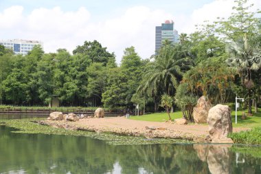 Turna, balıkçıl ve diğer kuşların yuvası olan bir göl kenarındaki verimli yeşillikler, su hatları ve büyük kayalarla Bangkok 'ta bir park..