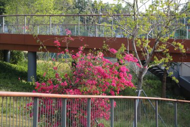 Parkta yüzlerce metre uzanan ve bir kısmını kaplayan yükseltilmiş bir köprü var. Tepedeki yolun her iki tarafında demir parmaklıklar var..