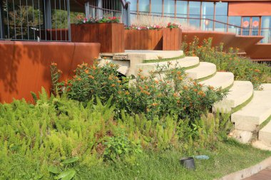 Bir ofis binasının girişine giden adımlar, etrafını otlar ve çiçeklerle çevrili çalılar, her iki tarafta yeşil duvarlar oluşturuyor..