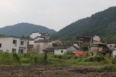 Kırsal kesimde bir grup Çin tarzı ev, yeşil dağlar ve ormanlarla çevrili, üzerinde siyah kiremitlerle beyaz duvarlar var.