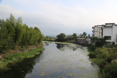 Çin kırsalında bir nehir, su zambaklarıyla kaplanmış ve her iki taraftaki beyaz binalarla çevrili. Manzara, bir tarafın yüksek perspektifinden bakıldığında...