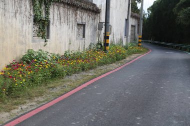 Yol kenarında çiçekler, beyaz duvarlar ve tropik Çin 'de kırmızı boyalı yollar olan bir yol. Eski bir fabrika binasının yanı kır çiçekleriyle kaplıdır..