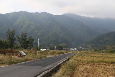 Her yılın sonbaharında, önünde yeşil dağlar ve her iki tarafında pirinç tarlaları olan asfalt bir yol bulunur. Yanlarında bir ya da iki küçük ev de var.