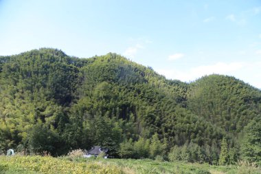 Tüm dağ, tepesinde yoğun yeşil bir orman ve ayağında mavi gökyüzü olan beyaz evleri gösteriyor. Ağaçlar neredeyse hepsini kaplıyor.