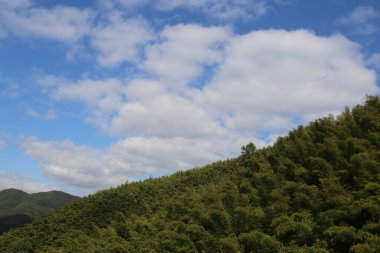 Aşağıdan çekilen beyaz bulutlu gökyüzü yeşil dağlara ve bambu ormanlarına bakıyor. Orman masmavi bir gökyüzünün altında yemyeşil ağaçlarla kaplıdır.