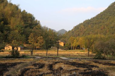 Sonbaharda, güney Çin 'deki tarlalar sonsuz bir kuru pirinç fideleri ve yanan ekinler denizi oluşturur. Önünde dağlarla çevrili küçük bir köy var..