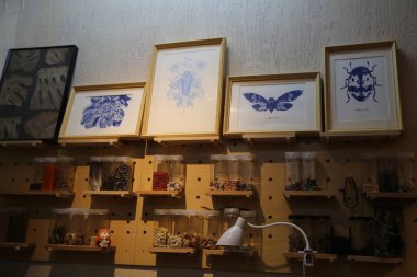 Raflarda farklı böceklerin çerçeveli mavi mürekkep çizimleri olan bir duvar var. Kavanozlar ve kaplar küçük yaratıklarla dolu. Sıcak ışık altında..