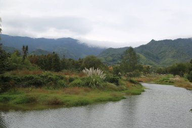 Nehir vadinin içinden akar, arka planda yeşil dağlar ve üzerlerinde beyaz bulutlar yüzer. Her iki tarafındaki ağaçların da açık sarı yaprakları bir ila iki metre genişliğinde bir alanı kaplar.