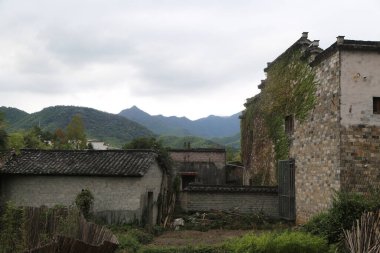 Güney Çin 'in kırsal kesimlerinde yıpranmış duvarları ve çatısı olan, aşırı gelişmiş bitki örtüsüyle çevrili eski bir taş ev var. Önünde sadece fayans duvarlarından oluşan başka bir bina duruyor..