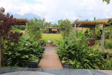 Bahçe yeşil bitkiler ve saksılarla çevrili, bambudan yapılmış çevre dostu bir restoranın girişine giden ahşap patikalar ve pirinç tarlalarının önünde sazdan yapılmış bir çatı var..