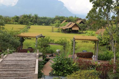 Yüksek bir ahşap platformdan pirinç tarlalarının manzarası, önünde sazdan evler ve yeşil alanlar, berrak mavi gökyüzünün altında dağlarla çevrili..