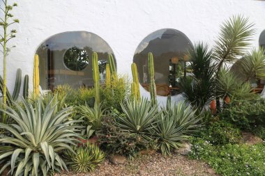 Evin önünde kemerli pencereleri, kaktüsleri ve palmiye ağaçları olan beyaz bir duvar, beyaz duvarlarda yuvarlak aynalar, modern tarzda, küçük çalıları olan bir bahçe, ve bitkilerin etrafında çakıl taşları..