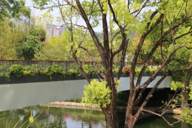 Parkta bir ağaç, her iki tarafında yeşil yapraklar ve çiçekler olan, çelik parmaklıklı bir üst geçidin yanında. Köprünün altındaki su yüzeyi temiz, çeşitli ağaçlarla çevrili..