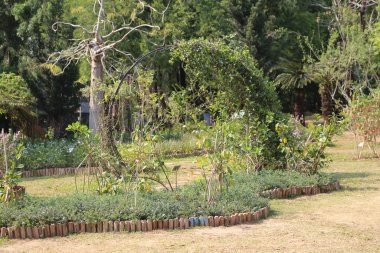 Parktaki sebze bahçesinde, etrafında yeşil bitkiler ve ağaçlar büyüyen bambu çubuklarından yapılmış bir kemer bulunuyor. Zemin, bir köşeden diğerine uzanan dairesel bir yol oluşturmak için küçük ahşap tahtalarla kaplı.