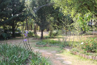 Metal çerçeveli bahçe kemeri, ağaçlar ve otlarla çevrili bir Afrika parkının ortasında. Her iki tarafında da çiçekler var..